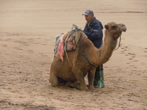 Camel Riding