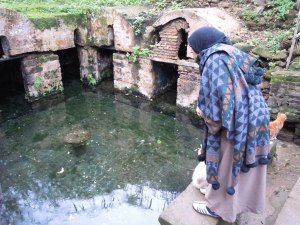 The Eel Lady of Chellah