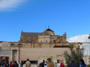 533607_490191594345585_1094616412_n