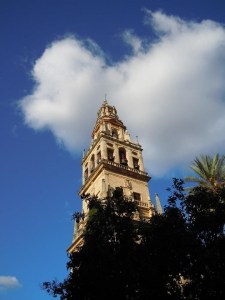 550307_490194897678588_1422262762_n