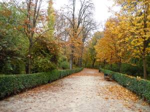 Parque del Buen Retiro
