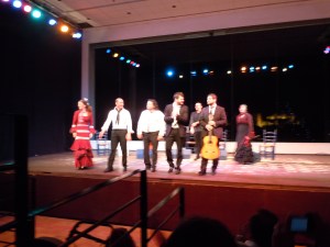 Flamenco Show