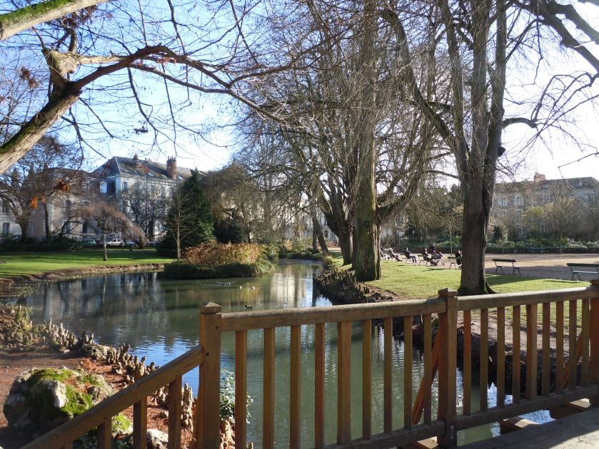 The Park Across the Street from my Window